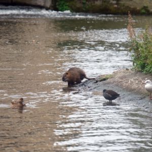 0028 - 25. Stiftungsfest e.v. KStV Pragensis (2025)