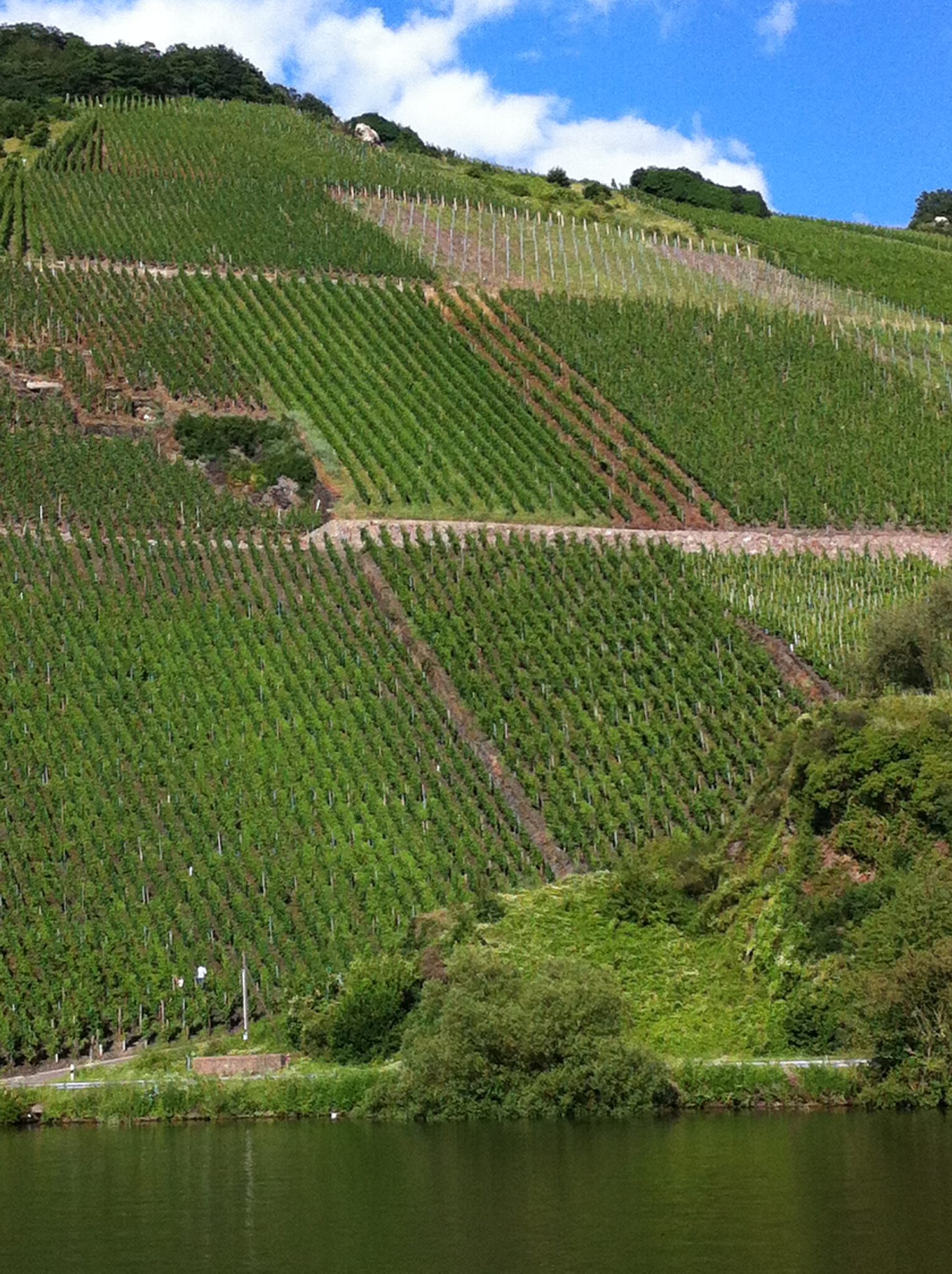 Exkursion nach Trier